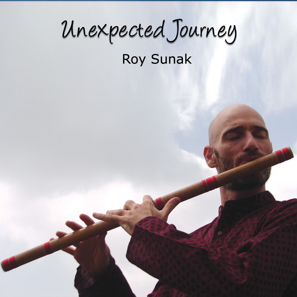 RoySunak_UnexpectedJourney_Videos